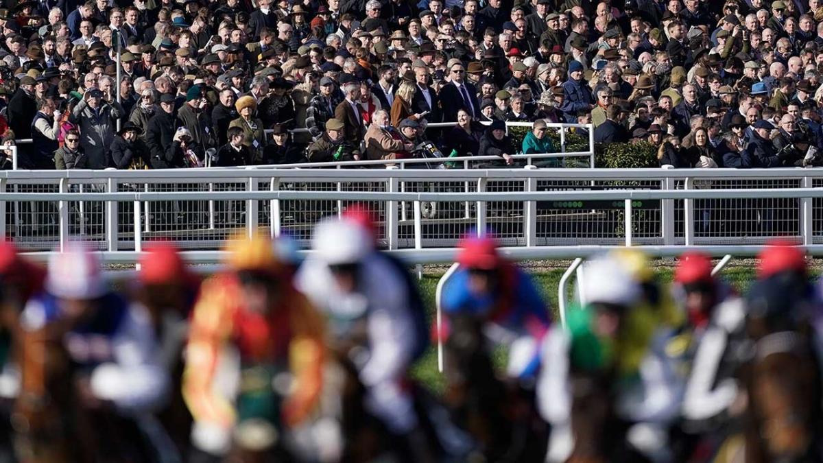 Cheltenham Trials Day